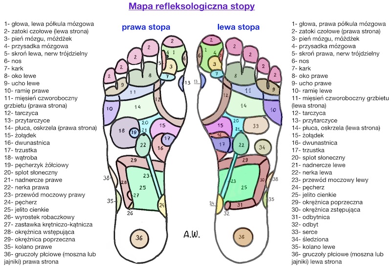Mapa refleksologiczna stopy